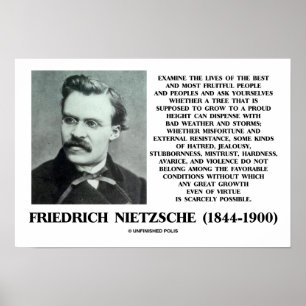 Misfortune Favourable Conditions Growth Nietzsche Poster