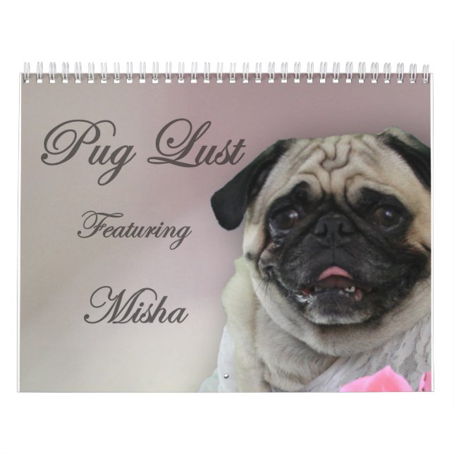 Misha for Pug Lust, pug lingerie calendar (Cover)