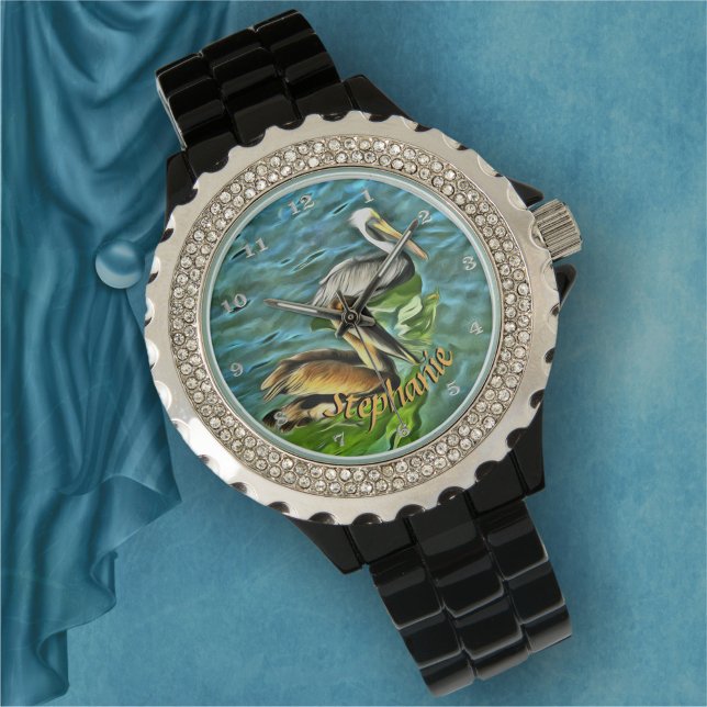 Mismaloya Pelicans 0329 Watch (Creator Uploaded)
