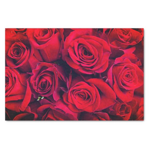 Image of Miss America Red Roses Tissue Paper