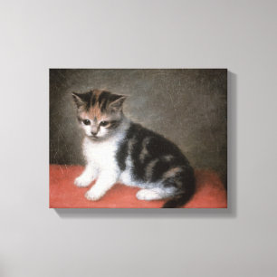 Miss Ann White's Kitten, 1790 Canvas Print