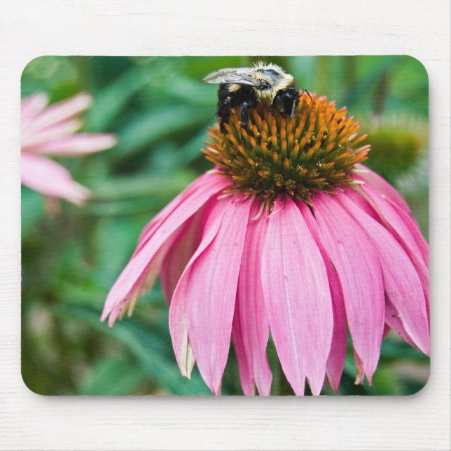 Miss Bee Mouse Mat (Front)