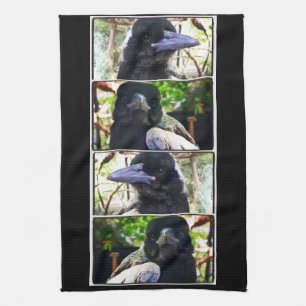 Miss Bub rescued Australian Magpie Tea Towel