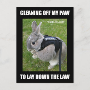 Miss Bunz Cleaning Paw Postcard