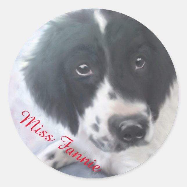 Miss Fannie - English Springer Spaniel Sticker (Front)