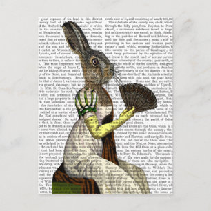 Miss Hare Postcard