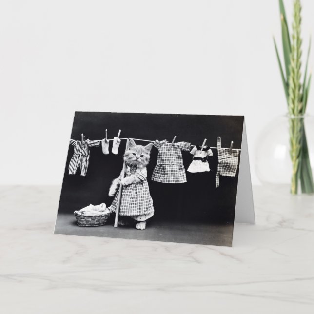 Miss Kitten Doing Laundry Card (Front)