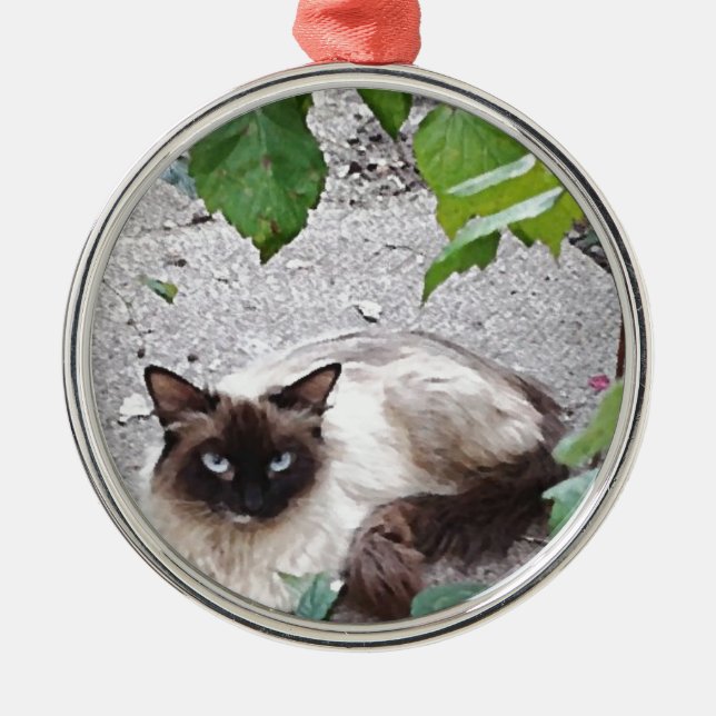 Miss Kitty Digital Painting Metal Tree Decoration (Front)