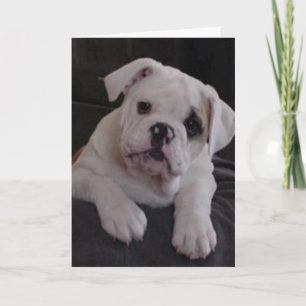 Miss Nala Card