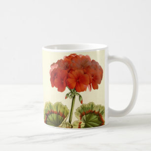 'Miss Pollack'  Zonal Geranium Coffee Mug