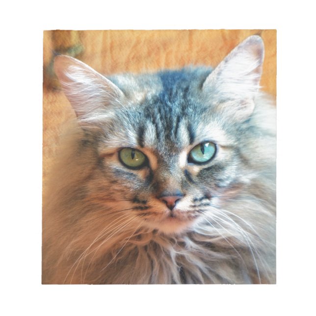 Miss Tootles Notepad (Front)