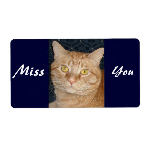Miss You
