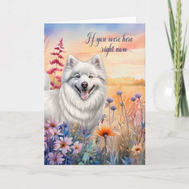 Miss You American Eskimo Dog Wildflower Meadow Card (Front)