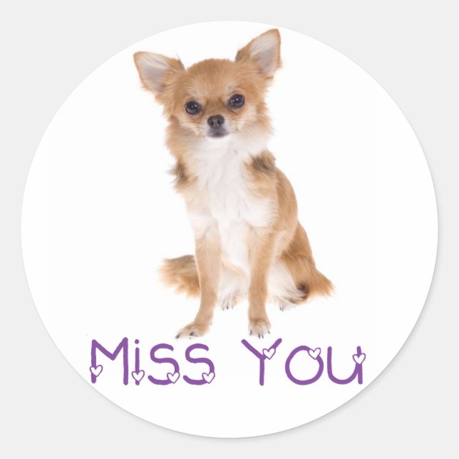 Miss You Chihuahua Puppy Dog Thinking of You Love Classic Round Sticker (Front)