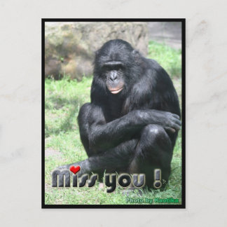 Miss you chimpanzee postcard