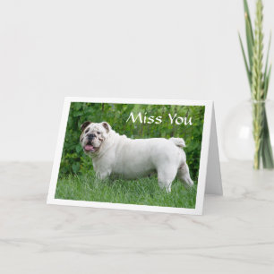 Miss You English Bulldog Puppy Dog Greeting Card