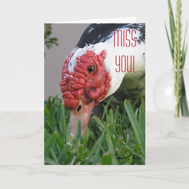 Miss You Eye of the Duck Close-Up Photo Template (Front)