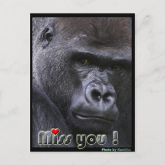 Miss you Gorilla Postcard