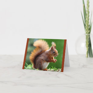 Miss You Like Nuts! Card