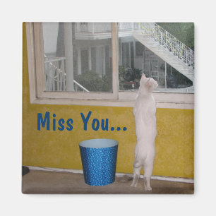 Miss You... Magnet! Magnet
