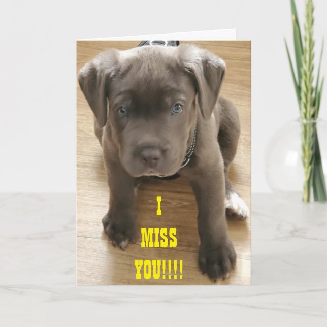 ****MISS YOU**** MILES ARE NOT MINIMAL ENOUGH :( CARD (Front)