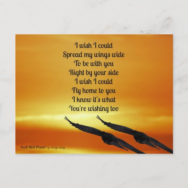 Miss You Poem: Fly Home to You Postcard (Front)