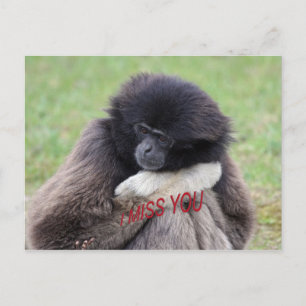 miss you postcard