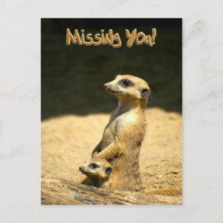 Miss You Postcard