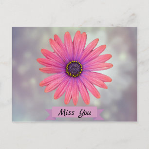 Miss You Pretty Daisy Flower Petals Postcard