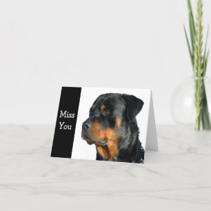 Miss You Rottweiler Dog Greeting Card - Verse
