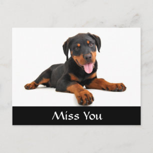 Miss You Rottweiler Puppy Dog Greeting Postcard