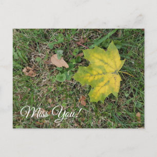 Miss You, Single Fall Leaf  Postcard