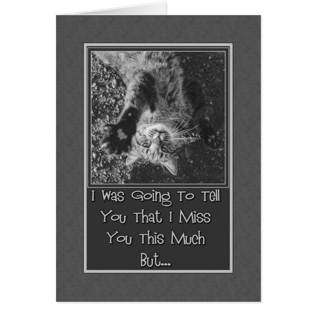 Miss You Stretching Kitty (Front)