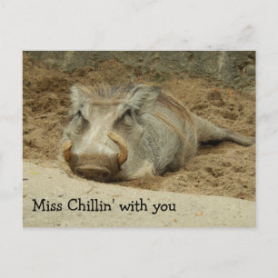 Miss You Wathog Postcard