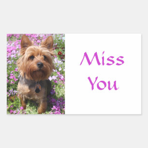 Miss You Yorkshire Terrier Puppy Dog Stickers
