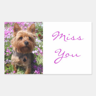 Miss You Yorkshire Terrier Puppy Dog Stickers