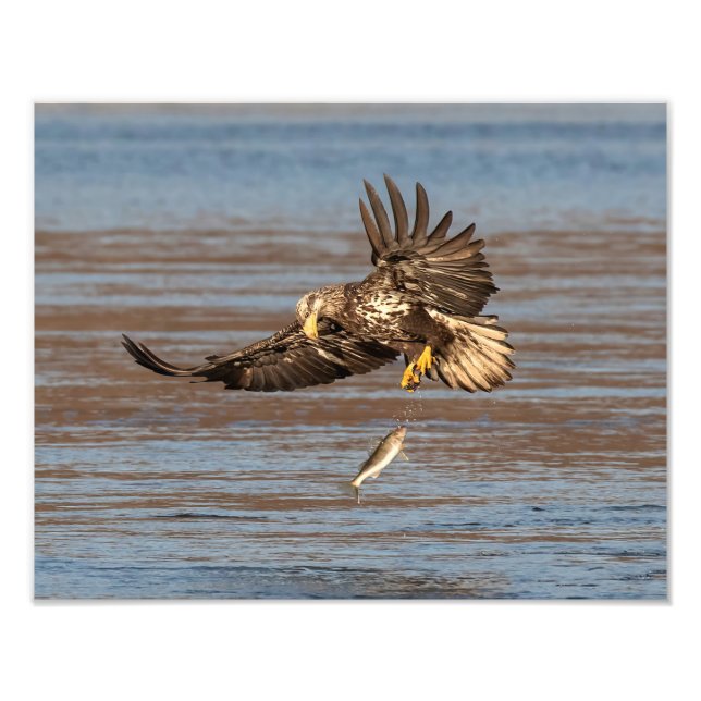 Missed Opportunity Photo Print (Front)