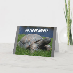 **MISSED YOUR BIRTHDAY** TURLE IS VERY MAD! HOLIDAY CARD