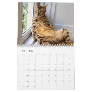 Bengal Cat Calendars | Zazzle.co.uk