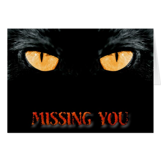 MISSING (Front Horizontal)