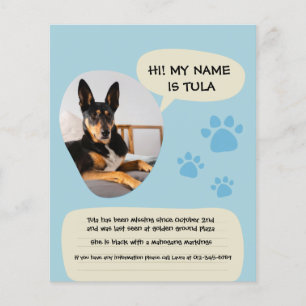 Missing Dog Modern Blue Photo Poster  Flyer