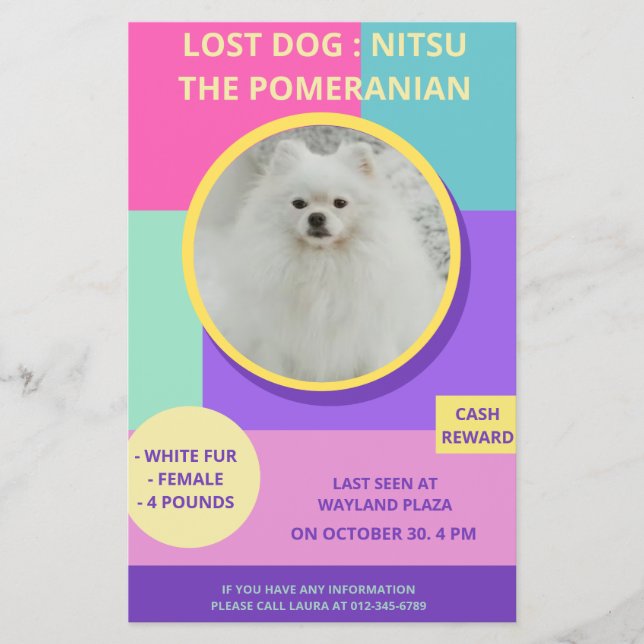 Missing Dog Modern Colourful Photo Poster  Flyer (Front)