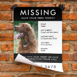 Missing Dog Poster Photo Handout Flyer<br><div class="desc">A simple missing pet flyer poster template, to help spread awareness in the search of a missing dog, cat or other pet. The text is easy to personalise including name, age, breed, missing date, place last seen, reward or ther information. There is space to include a large phone number and...</div>