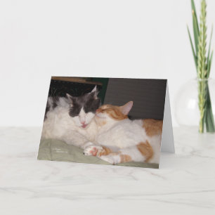 Missing my Friend Cute cats Greeting Card