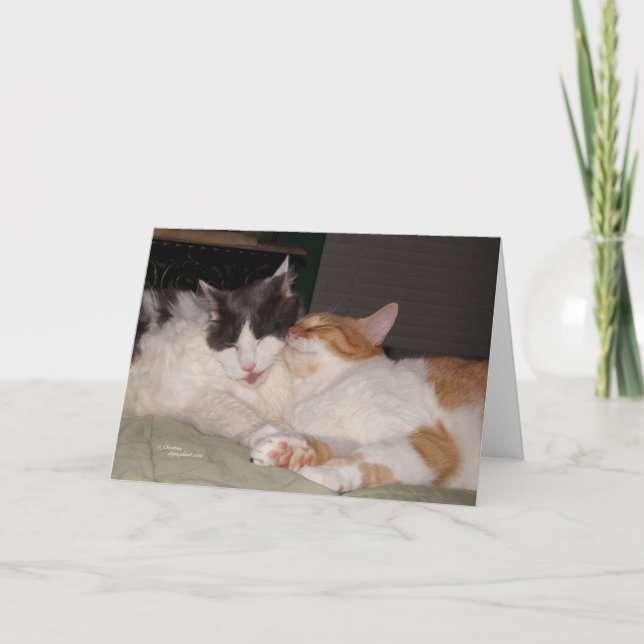 Missing my Friend Cute cats Greeting Card (Front)