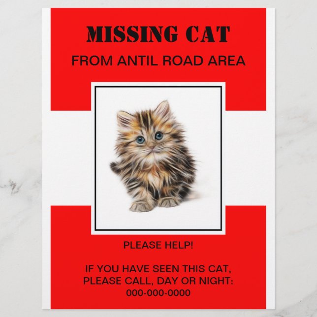 missing pet flyer, poster flyer (Front)