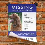 Missing Pet | Modern Blue Photo Poster Flyer<br><div class="desc">A simple missing pet flyer poster template, to help spread awareness in the search of a missing dog, cat or other pet. The text is easy to personalise including name, age, breed, missing date, place last seen, reward or ther information. There is space to include a large phone number and...</div>