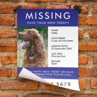 Missing Pet | Modern Blue Photo Poster Flyer