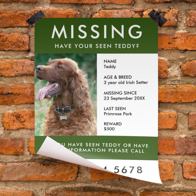 Missing Pet | Modern Green Photo Poster Flyer (Creator Uploaded)