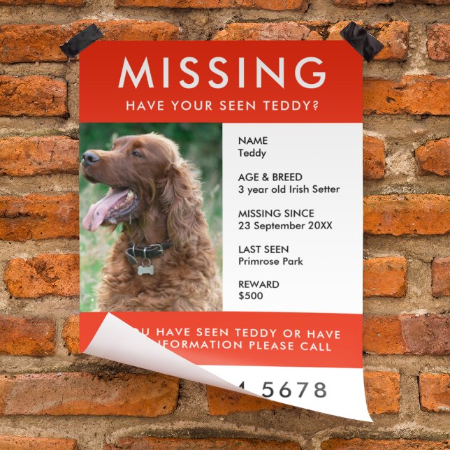 Missing Pet | Modern Red Photo Poster Flyer (Creator Uploaded)